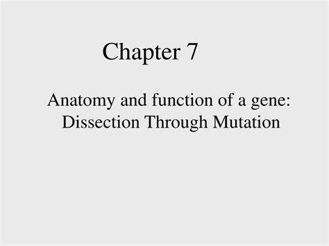 Ppt Anatomy And Function Of A Gene Dissection Through Mutation