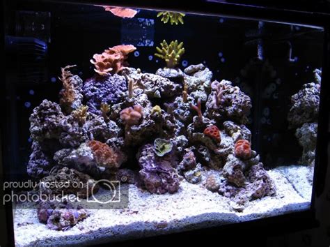 Finnex G M Tank W W Mh Nano Reef Journals Nano Reef Community