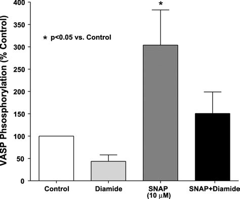 Effect Of Diamide On Vasodilator Stimulated Phosphoprotein Vasp