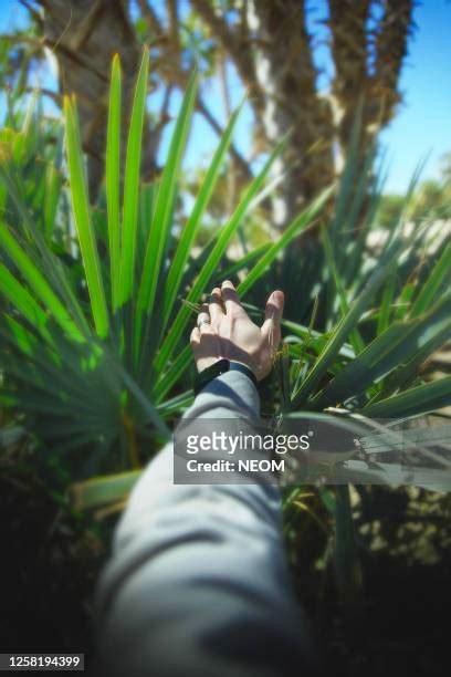 Neom Saudi Arabia Fotografias E Filmes Do Acervo Getty Images