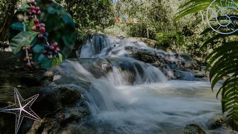 Tour De Boda Cascadas Y Fincas Cafetaleras Huatulco Wedding Tour