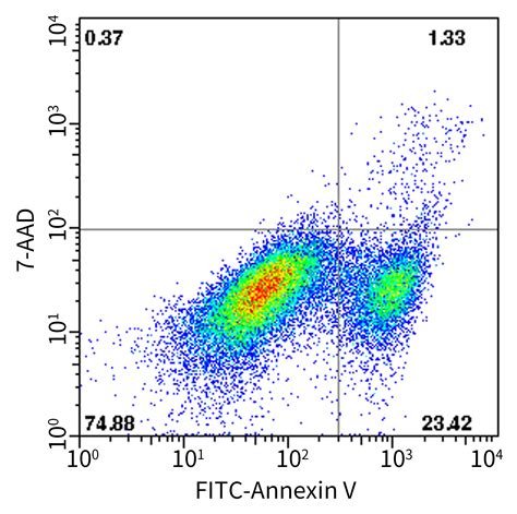 Flow Cytometry Fcm Facs Antibody