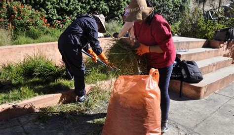 ABI Servidores públicos participan en tareas de limpieza y