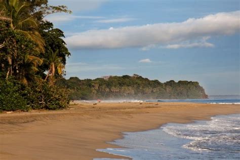 Caribbean Coast Costa Rica Experts Tropical Escape Tropical Garden