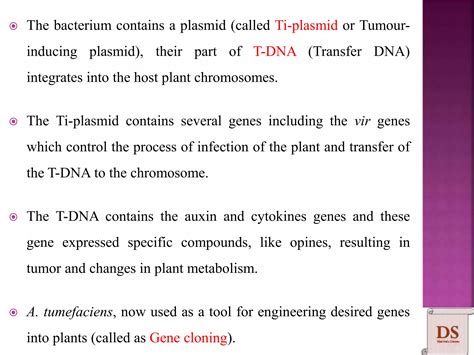 Agrobacterium Mediated Gene Transfer Ppt