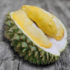 Mao Shan Wang Durian Indulge In The King Of Durians