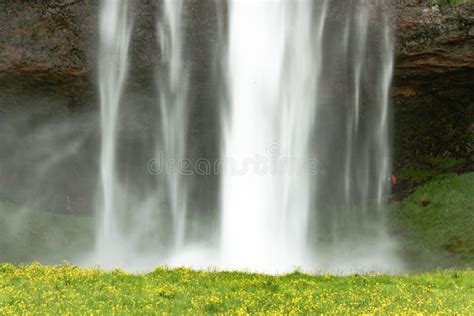 Shot Of A Waterfall Flowing Over A Rock In The Middle Of A Green