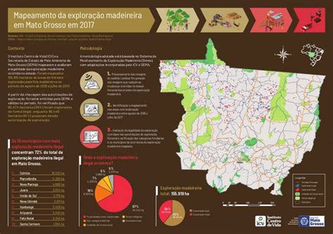 Exploração ilegal de madeira se concentra em imóveis rurais privados