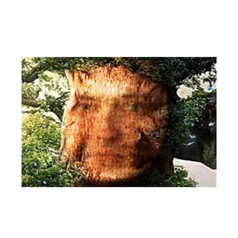 Create Meme Tree Meme Oak With A Face Living Tree Memes With Oak