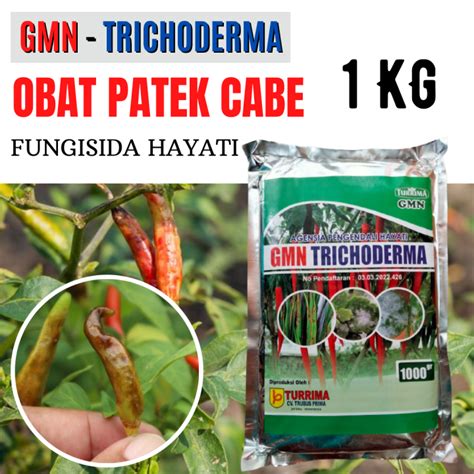 Obat Patek Tanaman Cabe Paling Ampuh Tricoderma Pupuk Patek Untuk