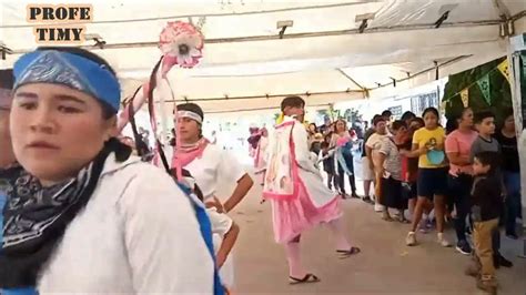 Son La PÁjara Pinta Danza De Pluma De La Laguna De El Bebé De