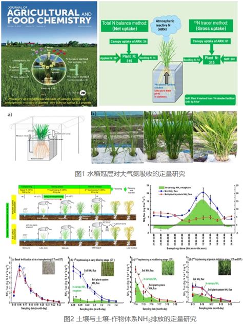 江苏常熟农田生态系统国家野外科学观测研究站