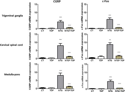 Cgrp And C Fos Mrna Expression In Areas Involved In Trigeminal