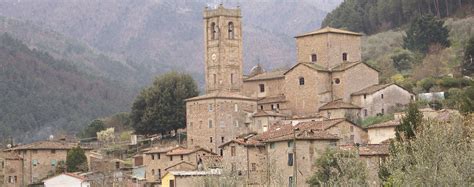 Turismo Comune Di Capannori Borgo Delle Camelie