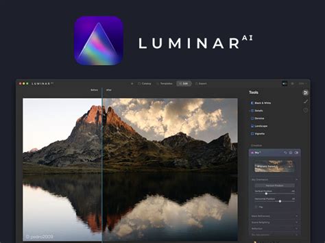 The Complete Award Winning Luminar Ai Bundle Joyus