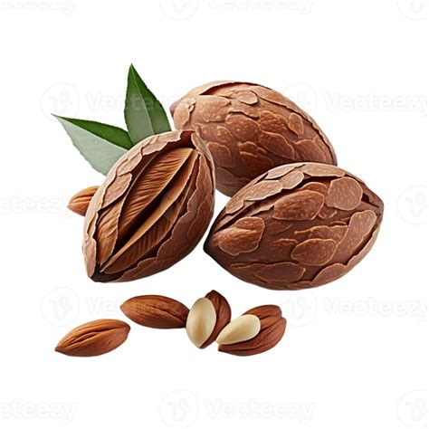 Almonds With Leaves Isolated Png