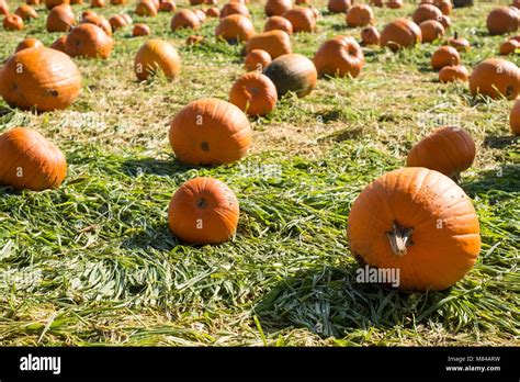Vermont Farm Organic Hi Res Stock Photography And Images Alamy