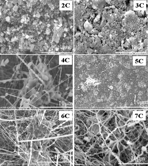 Sem Micrographs Of Ceramic Carbon Composite Samples C C With Wt