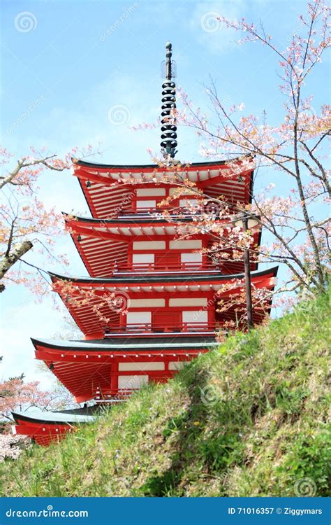 Cherry Blossoms With Five Storied Pagoda Stock Image Image Of