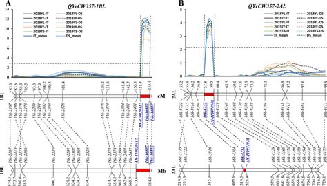 Graphical Display Of Stripe Rust Qtl Mapping Regions On Chromosome Arms Download Scientific