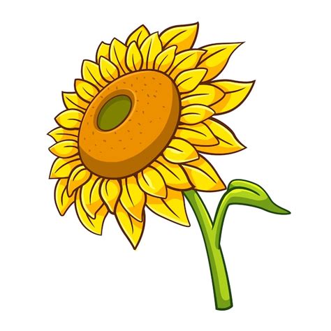 Estilo De Dibujos Animados De Girasol Vector Premium