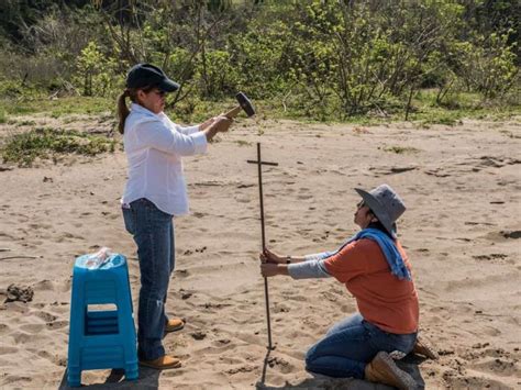 Así se busca un cuerpo entre la tierra de Veracruz colectivo Solecito