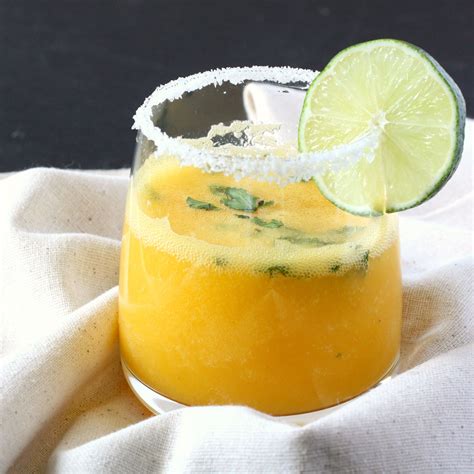 Vitamix Mango Margarita Recipe Besto Blog