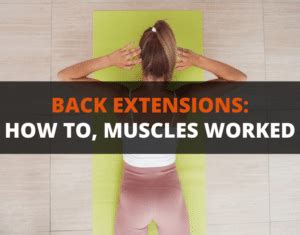 Back Extensions How To Muscles Worked Alternatives