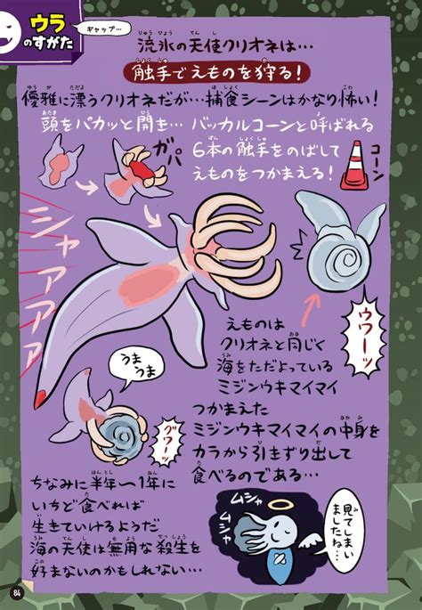 A Poster With An Image Of A Mermaid And Other Things In Japanese