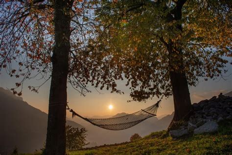Premium Photo Hammock
