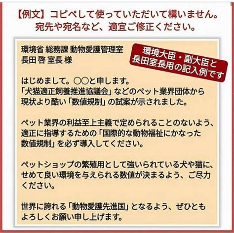 動物愛護法の数値規制改正案について｜遠藤健太郎 Kentaro Endo