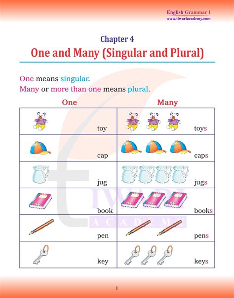 Class 1 English Grammar Chapter 4 One And Many Singular And Plural