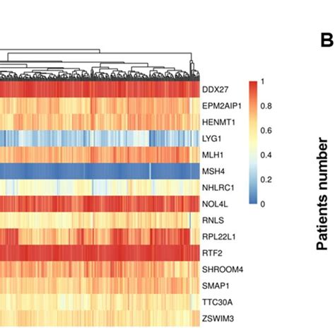 The Association Between APC Mutation And MSI H Status A Heatmap Of