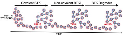 Mutation In Bruton Tyrosine Kinase BTK A428D Confers Resistance To