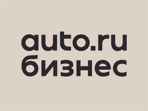 Авто.ру Бизнес – система для развития автобизнеса