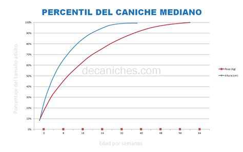 Evoluci N Del Crecimiento De Un Caniche De Caniches