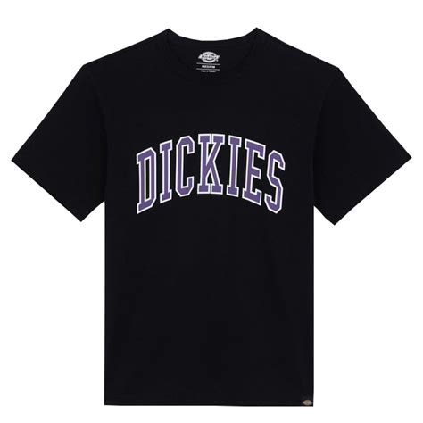 Shop Dickies Aitkin T Shirt Clothing Natterjacks