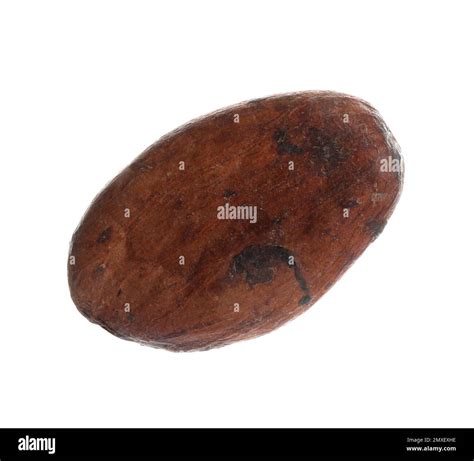 Brown Raw Cocoa Bean Isolated On White Stock Photo Alamy