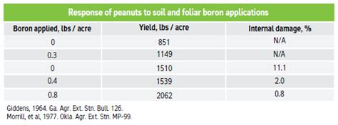 Agronomy Notes Boron Applications For Improved Peanut Quality And