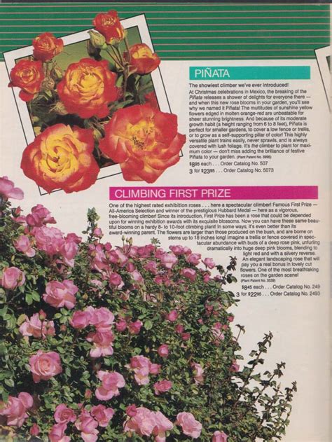 Jackson And Perkins Rose Growers And Nurserymen Catalog 1988