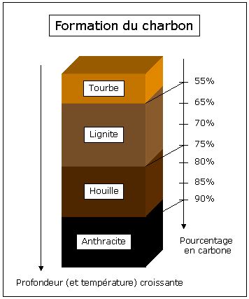 Sch Ma Fonctionnel Illustrant La Formation Des Hydrocarbures