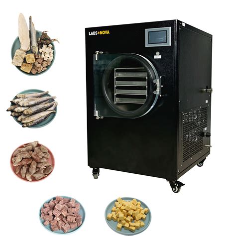 Vacuum Freeze Dryer In The Dried Fruit Vegetable Processing Fruits