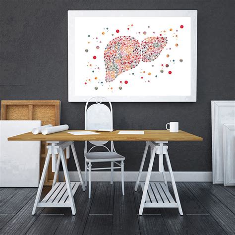 The Liver watercolor print the human liver poster medical art anatomy ...