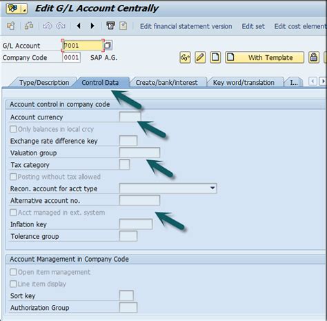 Sap Master Sap Fi Gl Account