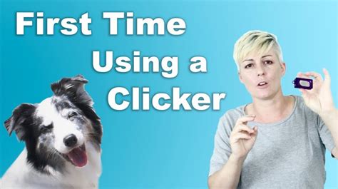 Getting Started Clicker Training | Dogmantics Dog Training