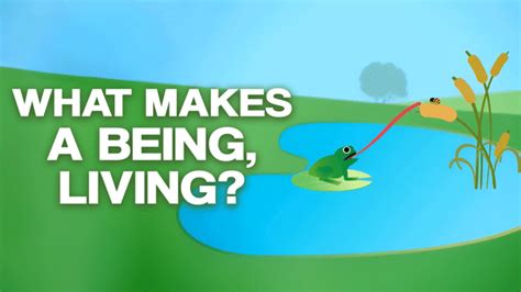 living beings video resources clickview