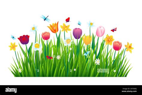 Colorful flowers with green grass isolated on white background. Vector ...