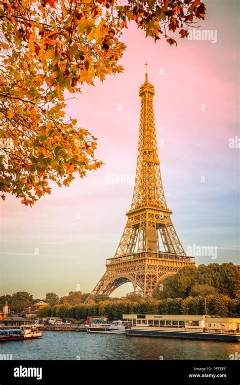 Pink Trees Paris Hi Res Stock Photography And Images Alamy