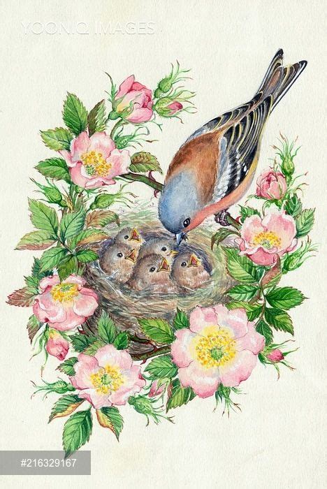 Gallery.ru / Фото #59 - 2 - Fyyfvbwrtdbx1957 Watercolor Bird ...