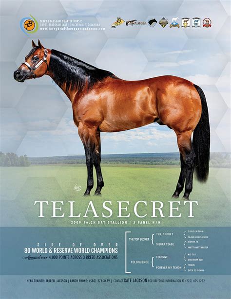 Telasecret